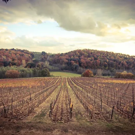 Poggio Bonelli Bauernhof Castelnuovo Berardenga